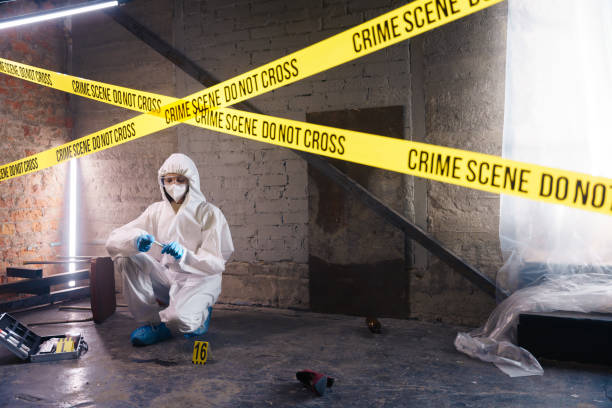 Diploma in Criminology